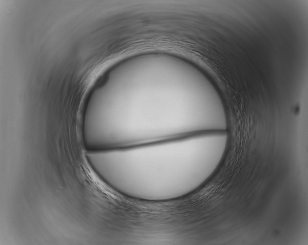 X0000115631535200911101107