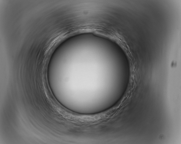 X0000115630001200911101448