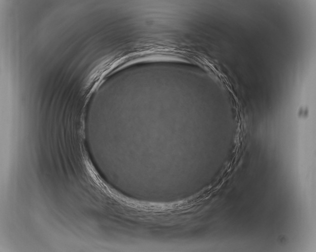 X0000115630002200911101448