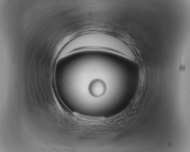 X0000115630003200911101448