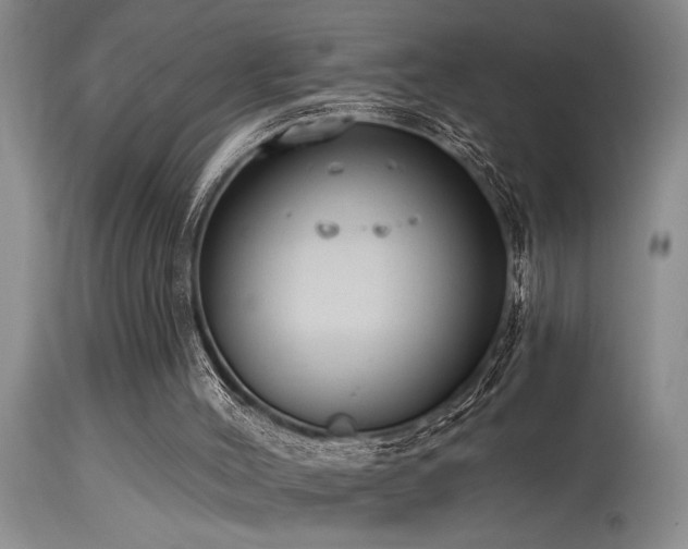 X0000115630004200911101448