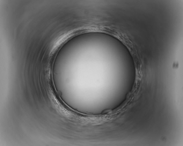 X0000115630005200911101448