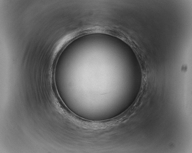 X0000115630006200911101448