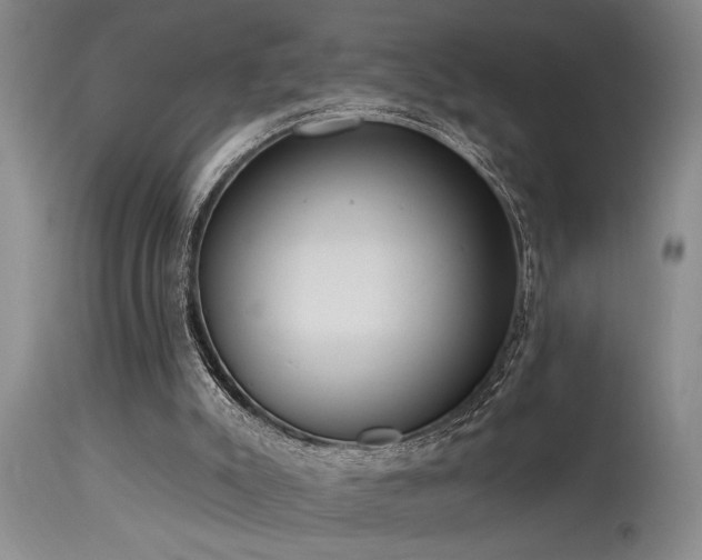 X0000115630007200911101448