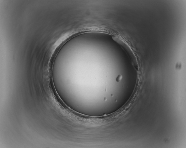 X0000115630008200911101448