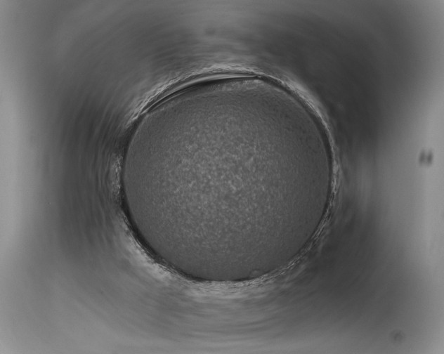 X0000115630009200911101448