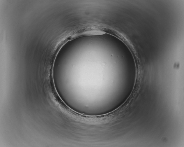 X0000115630010200911101448
