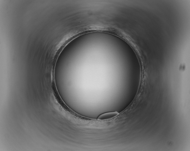 X0000115630011200911101448