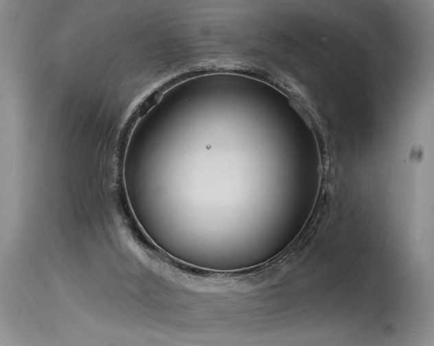 X0000115630012200911101448