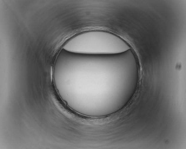 X0000115630013200911101448
