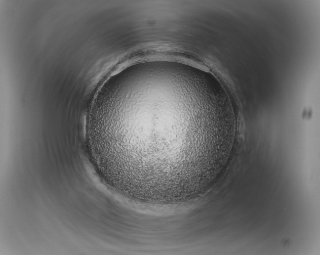 X0000115630014200911101448