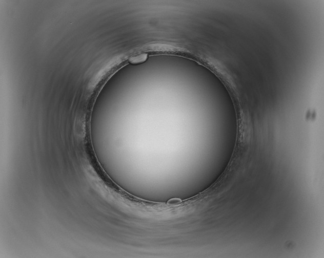 X0000115630015200911101448