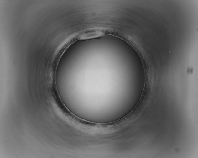 X0000115630016200911101448