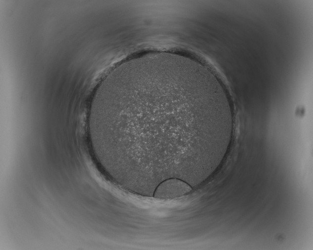 X0000115630018200911101448