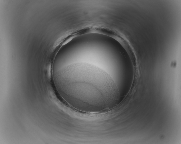 X0000115630019200911101448