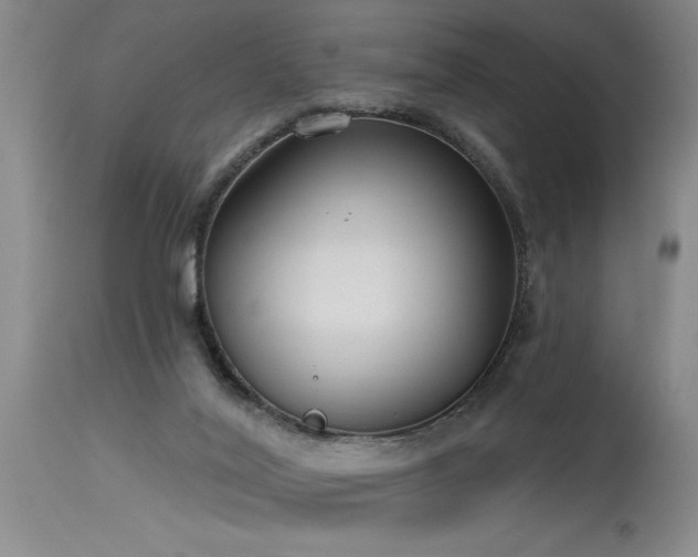 X0000115630020200911101447