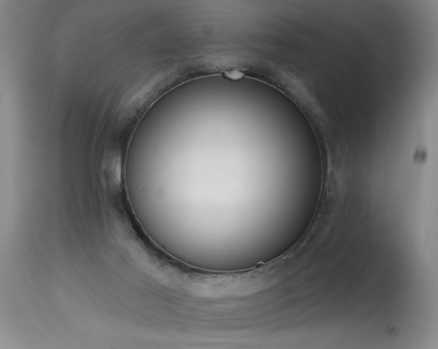 X0000115630021200911101447