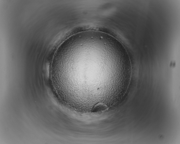 X0000115630022200911101447