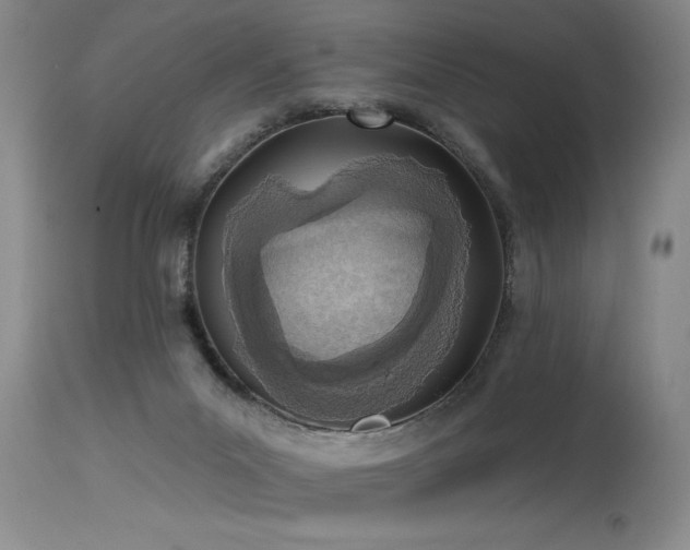 X0000115630023200911101447