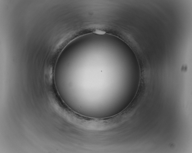 X0000115630024200911101447