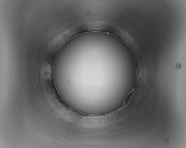 X0000115630025200911101447