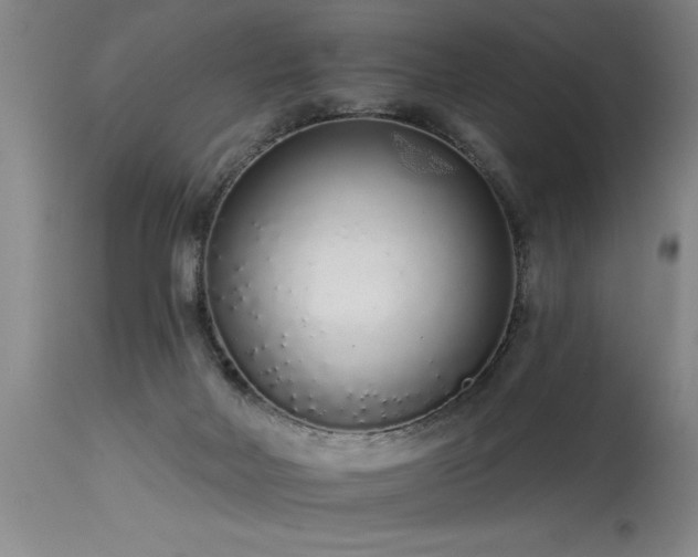 X0000115630026200911101447