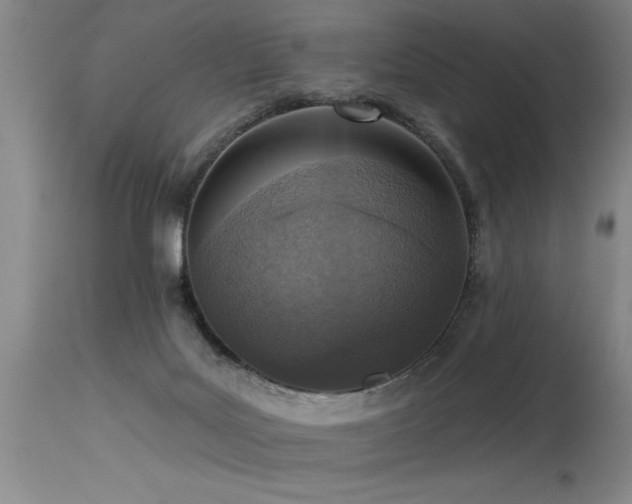 X0000115630027200911101447