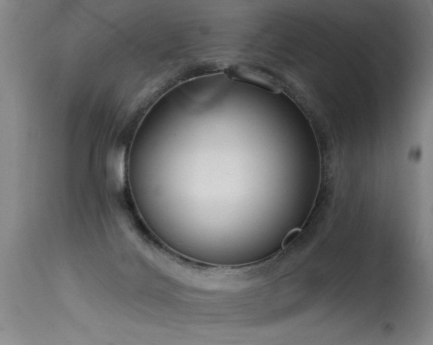 X0000115630028200911101447