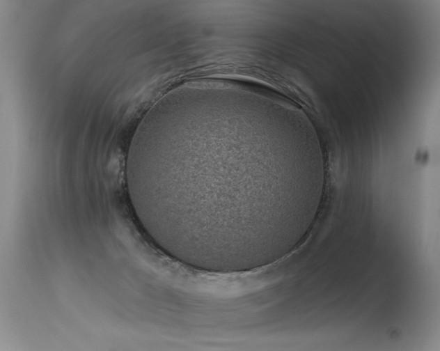 X0000115630029200911101447