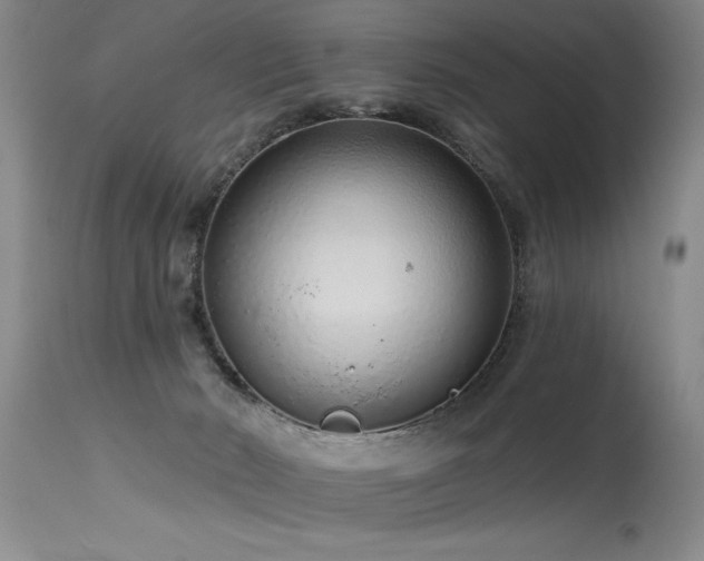 X0000115630030200911101447