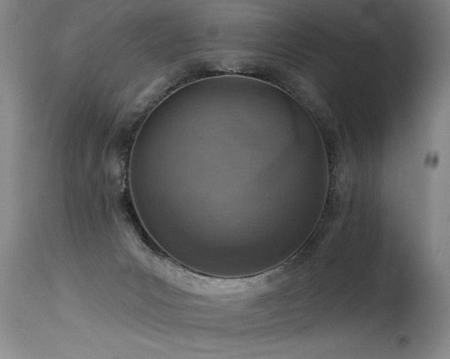 X0000115630031200911101447