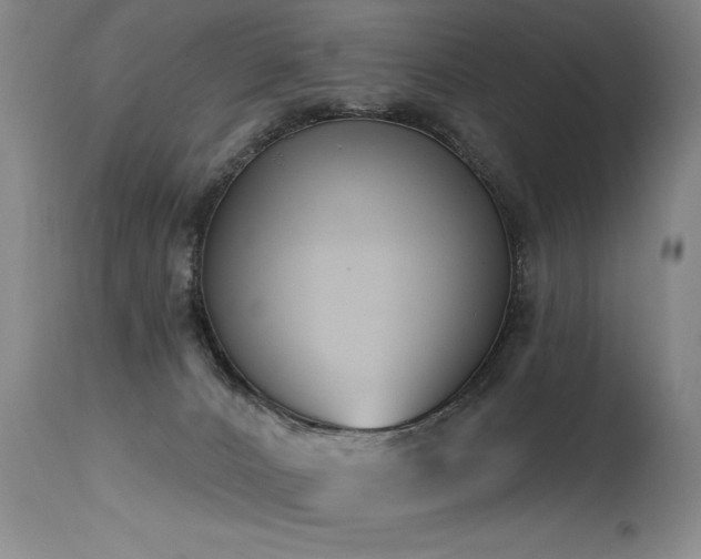 X0000115630032200911101447