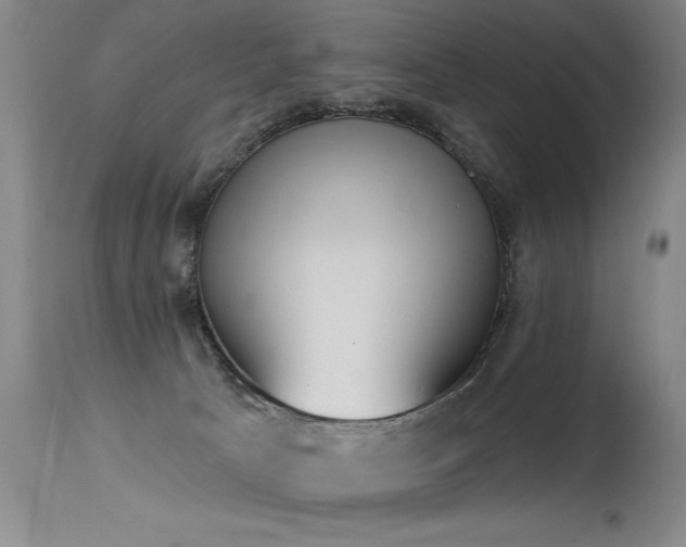 X0000115630033200911101447