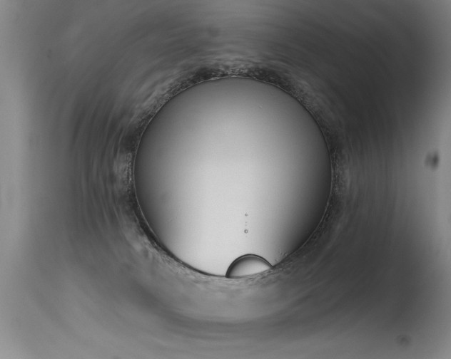 X0000115630034200911101447