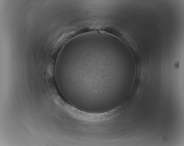 X0000115630035200911101447