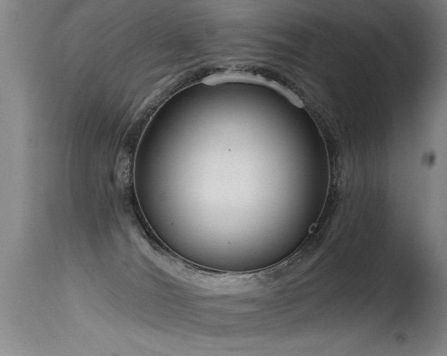 X0000115630036200911101447