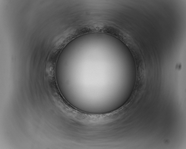 X0000115630037200911101447