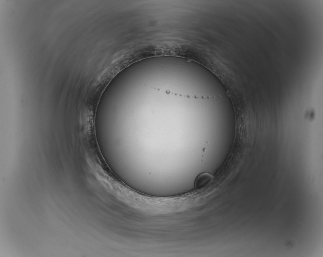 X0000115630038200911101447