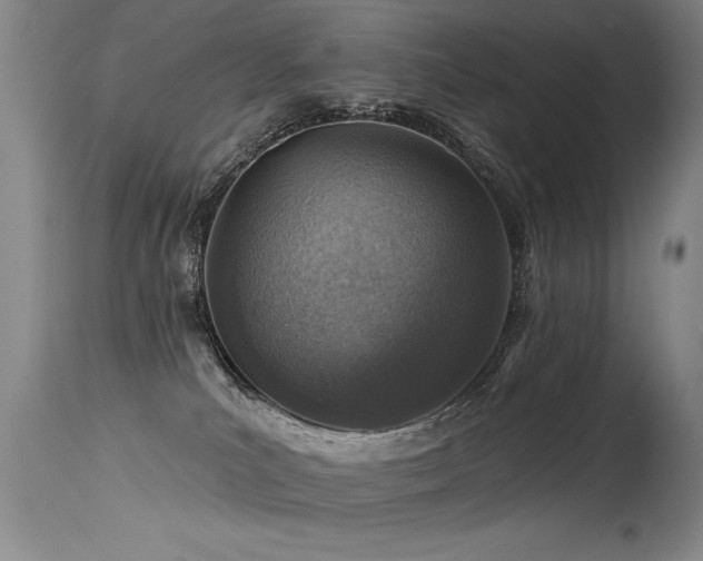 X0000115630039200911101447