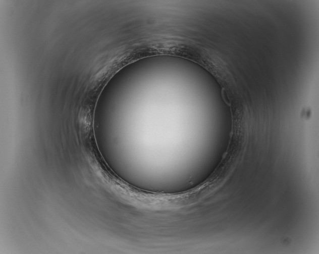 X0000115630040200911101447