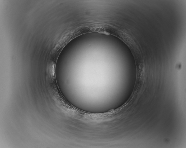 X0000115630041200911101447