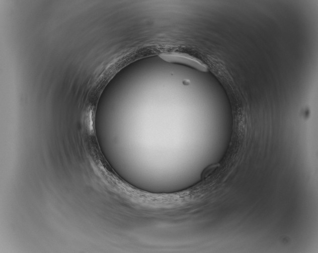 X0000115630042200911101447