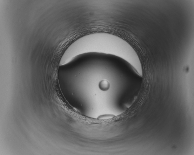 X0000115630043200911101447