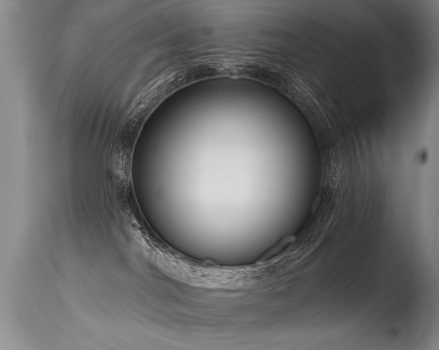 X0000115630044200911101447