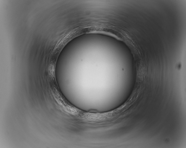 X0000115630045200911101447