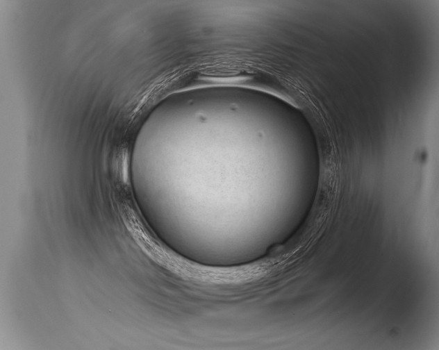 X0000115630046200911101447