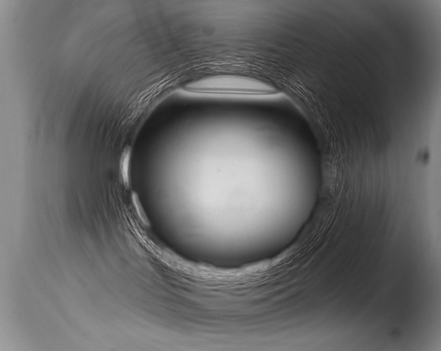 X0000115630047200911101447