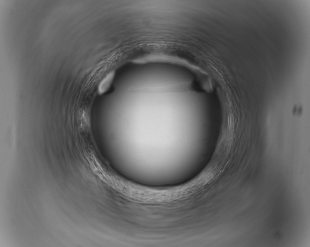 X0000115630048200911101447