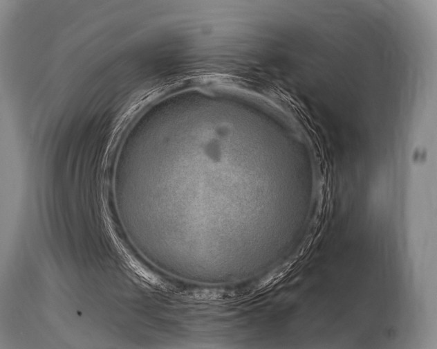 X0000115630049200911101446