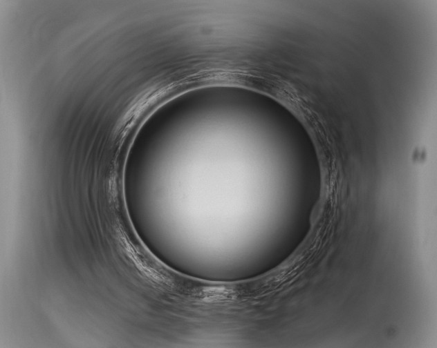 X0000115630050200911101446